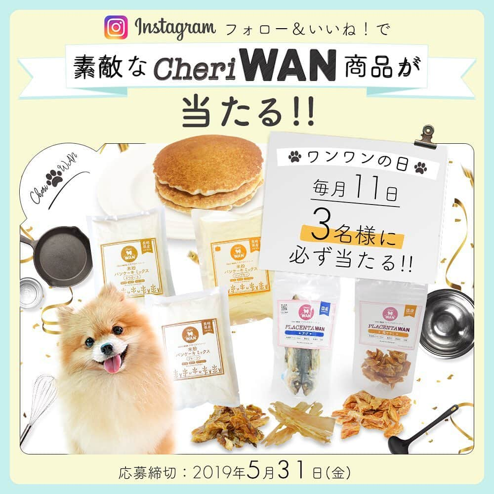 CheriWANさんのインスタグラム写真 - (CheriWANInstagram)「こんにちは❗🤗﻿﻿﻿ ﻿﻿﻿ 毎月11日はワンワンの日🐶﻿﻿﻿ ＼CheriWANプレゼントキャンペーン開催です／﻿﻿﻿ ﻿﻿﻿ 今回はドライフルーツ(梨)をプレゼント🍏❤️(写真2枚目)﻿﻿﻿ ﻿﻿﻿ 下記キャンペーン概要をご確認の上、皆様ふるってご応募ください☺✨﻿﻿﻿ ﻿﻿﻿ ＝＝＝＝＝＝＝＝＝＝＝＝ ﻿﻿﻿ ﻿﻿﻿ ◼キャンペーン概要﻿﻿﻿ ﻿﻿﻿ InstagramでCheri WAN公式アカウント（@cheriwan_official）をフォローし、﻿﻿﻿ 2019年5月20日（月）にCheri WAN公式アカウントが投稿したこちらのキャンペーン投稿をいいね！してくれた方の中から、﻿﻿﻿ 抽選で3名様に「Cheri WAN ドライフルーツ(梨)」をプレゼント。 ﻿﻿﻿ ﻿﻿﻿ ◼賞品﻿﻿﻿ ﻿﻿﻿ Cheri WAN ドライフルーツ(梨) 1個（3名様） ﻿﻿ ﻿﻿﻿ ◼応募方法﻿﻿﻿ ﻿﻿﻿ 【STEP1】﻿﻿﻿ Cheri WAN公式アカウント （ @cheriwan_official ）をフォローしてください。 ﻿﻿﻿ ﻿﻿﻿ 【STEP2】﻿﻿﻿ 2019年5月20日（月）にCheri WAN公式アカウントが投稿したキャンペーンをいいね！してください。﻿﻿﻿ ﻿﻿ ※すでにCheri WAN公式アカウントをフォローされている方は、STEP2.のみで応募できます。 ﻿﻿﻿ ﻿﻿﻿ 【STEP3】﻿﻿﻿ 応募完了です。﻿﻿﻿ ﻿﻿﻿ ★ご当選者様には、Cheri WAN公式アカウントよりInstagramのDMにて当選連絡をいたします。 ﻿﻿﻿ ﻿﻿﻿ ◼当選者﻿﻿﻿ ﻿﻿﻿ 抽選で3名様（毎月） ﻿﻿﻿ ﻿﻿﻿ ◼応募締切﻿﻿﻿ ﻿﻿﻿ 2019年5月31日（金）　23：59まで ﻿﻿﻿ ﻿﻿﻿ ◼対象者﻿﻿﻿ ﻿﻿﻿ ・わんちゃんを飼っていらっしゃる方。﻿﻿﻿ ・InstagramでCheri WAN公式アカウントをフォローし、2019年5月20日（月）にCheri WAN公式アカウントが投稿したキャンペーンツイートをいいね！した方。﻿ ※ご当選時にInstagramのアカウントを削除されている場合や、フォローを外されていますと対象外となります。﻿﻿﻿ ﻿﻿﻿ ◼当選発表﻿﻿﻿ ﻿﻿﻿ ・厳正なる抽選の上、ご当選者様にはCheri WAN公式アカウントよりInstagramのDMにてキャンペーンの当選連絡をいたします。﻿﻿﻿ ・当選発表は、毎月11日に当選したわんちゃんのお名前を発表させて頂きます。 ﻿﻿﻿ ※当選者の方にはDMにて、わんちゃんのお名前をお伺い致します。 ﻿﻿﻿ ・賞品到着は毎月11日ごろを予定しております。 ﻿﻿﻿ ﻿﻿﻿ ◼注意事項 ﻿﻿﻿ ﻿﻿﻿ ・いいね！は、公式投稿に限定させていただきます。 ﻿﻿﻿ ・アカウントを非公開にしている場合、応募対象外となります。 ﻿﻿﻿ ・DMを受信拒否設定している場合、当選連絡をすることができないため、応募対象外となります。 ﻿﻿﻿ ・応募の権利は、いいね！された日のみとなりますので、予めご了承ください。﻿ ・ご応募は日本国内にお住まいの方に限らせていただきます。﻿ ・当選連絡のDMに記載の配送先入力締切日までに入力がない場合、当選を無効とさせていただきますので、予めご了承ください。﻿ ・当選者の長期不在や、賞品お届け先ご住所や転居先が不明等の理由により、賞品のお届けができない場合は、ご当選を無効とさせていただく場合がありますので、予めご了承ください。 ﻿﻿﻿ ・ご当選後の賞品の変更や返品には応じかねます。 ﻿﻿﻿ ・ご当選の権利は第三者への譲渡や現金とのお引き換えはできません。﻿ ・本キャンペーンの当選者は同時期に実施されている同一商品を対象とした他のキャンペーンとは重なって当選できません。予めご了承ください。 ﻿﻿﻿ ﻿﻿﻿ ﻿ ＝＝＝＝＝＝＝＝＝＝＝＝ ﻿﻿﻿ ﻿﻿ #cheriwan#シェリーワン#キャンペーン#プレゼントキャンペーン#プレゼント企画#プレゼント企画実施中#企画#犬用おやつ#米粉パンケーキ#米粉#犬用パンケーキ#いぬすたぐらむ#犬好きと繋がりたい #愛犬 #ペット #dogs #無添加 #無着色 #無香料 #米粉パンケーキミックス #グルテンフリー #米粉 #ドッグフード #いぬ#いぬのおやつ #いぬ部」5月20日 17時20分 - cheriwan_official