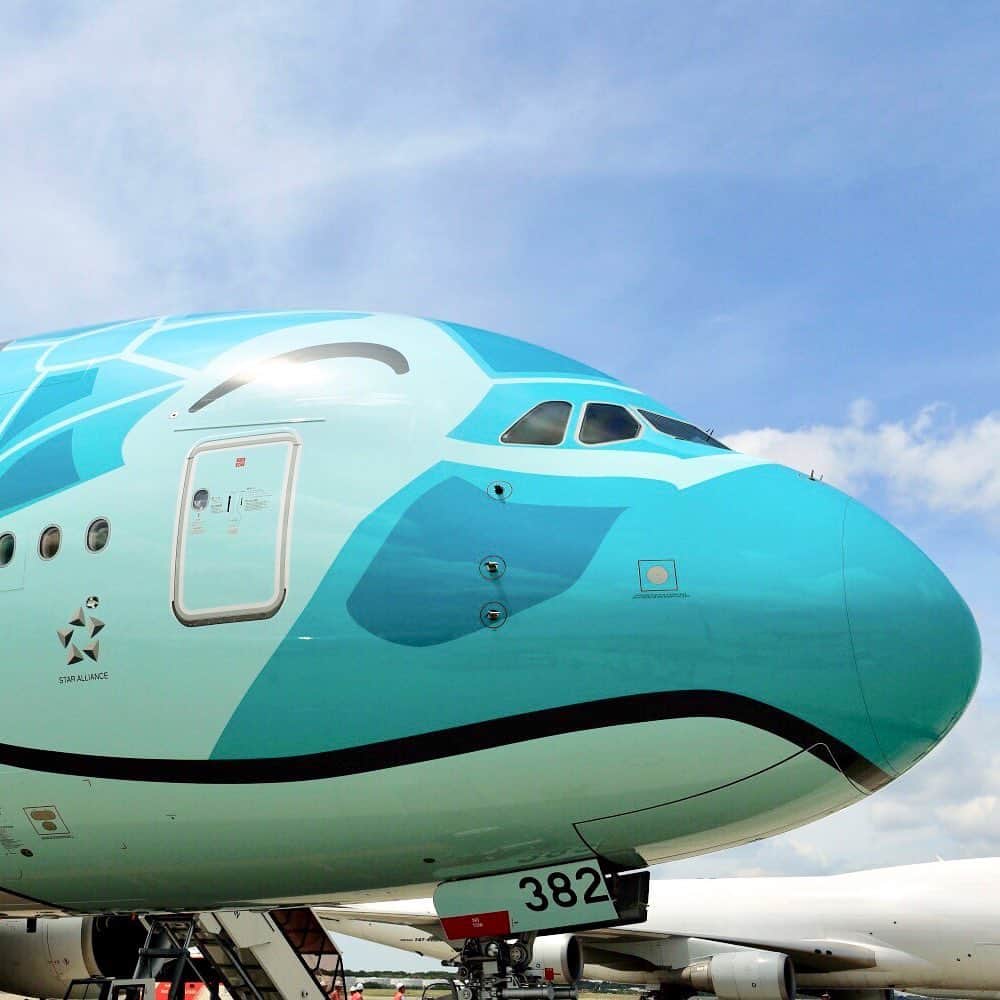 ANAのインスタグラム：「つづいて2号機も日本到着✨  #ソラマニ_ヒコーキ #a380 #フライングホヌ #2号機 #エメラルドグリーン #ハワイカラー #日本到着 #羽ばたけ #スマイル部 #ハワイ #ホノルル #海 #旅行 #海外旅行 #就航 #楽しみ #ワクワク #hawaii #flyinghonu #honu #arrival #anaairplane #airplane #fly #sky #blue #japan #trip #internationaltravel  ANAの飛行機は「#ソラマニ_ヒコーキ」をつけて投稿してね✈インスタやANAの各メディアでご紹介していきます🌟」