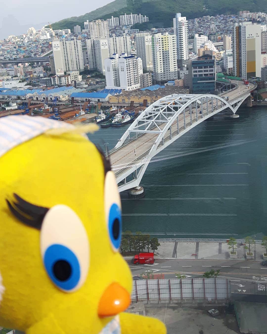 Little Yellow Birdさんのインスタグラム写真 - (Little Yellow BirdInstagram)「I moved on to the south east of South Korea: the port city Busan! Great seafood, and the sun is shining again!! #littleyellowbird #tweety #tweetykweelapis #adventures #yellow #bird #busan #부산 #port #southkorea #zuidkorea #korea #asia #travel #traveling #wanderlust #sunny #sun #stuffedanimalsofinstagram #plushiesofinstagram」5月20日 17時48分 - tweetykweelapis