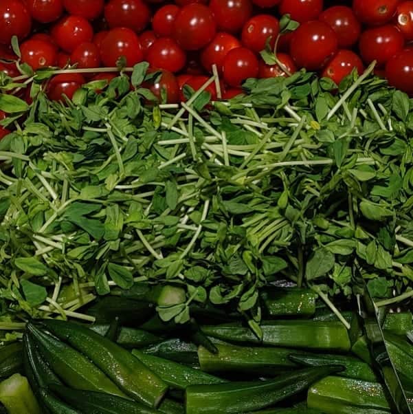 Yoshiko Kris-Webb クリス-ウェブ佳子のグルメインスタ