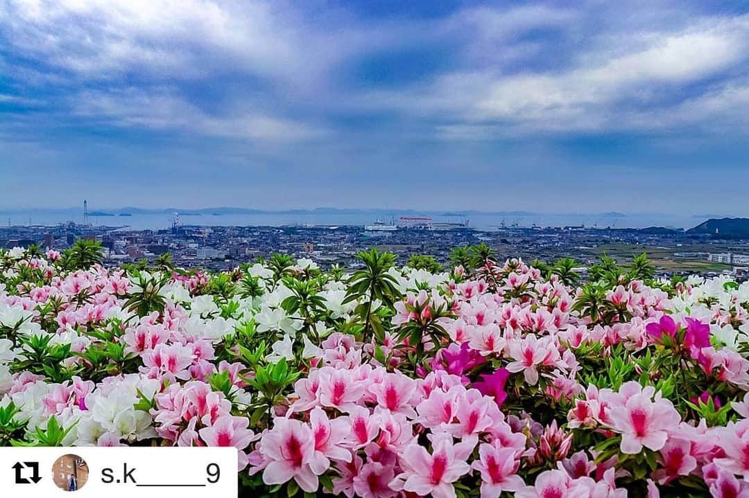 西条市のインスタグラム
