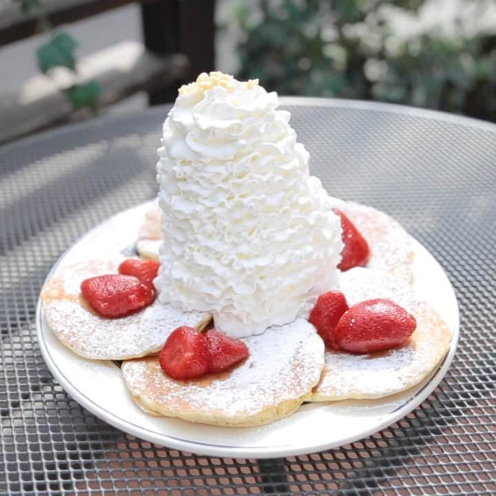 LeTRONC ルトロンのグルメインスタ