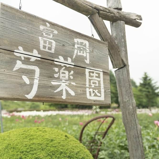のインスタグラム：「【シャクヤクが生まれる場所】  一年待ちに待った、シャクヤクの季節。 この時期、さまざまな品種で楽しませてくれるのが「JA甘楽富岡 黒岩シャクヤク部会」から届く、通称 “黒岩のシャクヤク” 。 . 水はけも悪く、決して恵まれた場所でもないその土地では、人一倍手をかけて美しいシャクヤクが栽培されています。 . . 「当たり前のことをやっても、当たり前のことしかできないから」と語る生産者さんは50年で150種類以上の品種を作りだし、いまも新しい品種を作り続けています。 . . #シャクヤク#芍薬#ピオニー#生産地#群馬#青山フラワーマーケット#aoyamaflowermarket」
