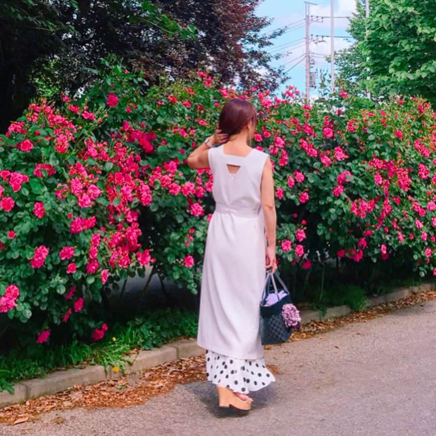 mii_stagramさんのインスタグラム写真 - (mii_stagramInstagram)「🌹✨🌹✨🌹✨ ・ @keiseirosegarden  #京成バラ園 に行って来たよ～👯‍♀️💕 土曜日って事で凄～い人だったけど😵 今年も私に綺麗な🌹を見せてくれて @ex.3jsb.tiamo  よっᒼᑋªⁿ♥︎ありがとう✨🙏😄 ・ ⃝ ⍤⃝ ⍨⃝ ∵⃝♡⍢⃝ ⍤⃝ ⍨⃝ ∵⃝♡⍢⃝ ・ ジレ風に着たホワイトワンピースは @ladymade_official ✔ この前のポップアップショップで 着ていた色違い❤ 伸縮性があって車移動も楽チン😊💕 ・ ハマり中な#レイヤードスタイル @kobe_lettuce ✔ ドット柄のロングスカートと合わせて #ホワイトコーデ ・ ・ 沢山あるからどの写真使うか？ 順番にも悩む😂 1枚目の風のイタズラが残念🍃 ・ かごバッグと2枚目picのサングラス😎 昨年、京成バラ園に併設してる 姫ショップで買ったもの🌹 サングラスの両サイドは 🌹のモチーフが付いてて可愛い～😊💕 ・ ・ 薔薇に癒されたぁぁ～🙌🏼🌹💫 ・ ・ #ボトムス：#神戸レタス @kobe_lettuce (M2456) #ladymade #chao_app#fashion#coordinate#rose #薔薇#バラ#バラ園#はなまっぷ#お出かけ#ポートレート#ファッション#コーデ#今日のコーデ#今日の服#きれいめコーデ#きれいめカジュアル#シンプルコーデ #着回しコーデ #40代コーデ #大人可愛い#大人女子#おしゃれさんと繋がりたい #インフルエンサー#PR ⃝ ⍤⃝ ⍨⃝ ∵⃝♡⍢⃝ ⍤⃝ ⍨⃝ ∵⃝♡⍢⃝ 見て下さった方 (*´︶`*)♡Thanks!🌹✨🌹✨🌹✨🌹✨」5月20日 18時02分 - miyuki.0419.karemari