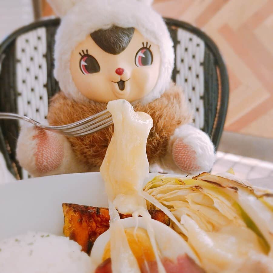 エチカさんのインスタグラム写真 - (エチカInstagram)「. チーズびよよよよ〜ん🧀🧀🧀 今日のランチは ラクレットで決まりでしょ😋？ . #どっちがチーズ長く伸ばせるか勝負しよ #チーズ対決 ------------------------------ 店舗名：表参道グリル（MARCHÈ DE METRO内） 商品名：ラクレットチーズミックスプレート 価格：1,290円（税抜） ------------------------------ . . #エチカ #おでかけ #エチカの日常 #ラクレットチーズ #ラクレット #チーズ #表参道グリル #マルシェドゥメトロ #表参道 #Echika #raclettecheese #raclette #cheese #MARCHEDEMETRO #Omotesando #🧀」5月20日 18時02分 - echika_love