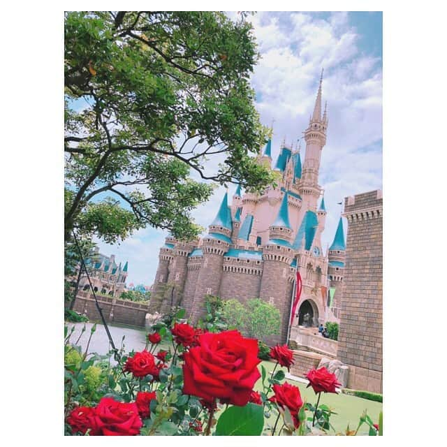 早乙女わかばさんのインスタグラム写真 - (早乙女わかばInstagram)「.﻿ 🌈🏰Disney🏰🌈﻿ ﻿ 大好きな場所❤️✨﻿ 特にイースターは毎年行きたくなります🐰💕﻿ ﻿ 日曜という事で朝8時から入場‼️﻿ ﻿ 日曜にしては比較的空いていたらしく…ほとんどの乗り物に乗れて大満足😍❤️﻿ ﻿ 最近のハマりのプーさんも朝一番にファストパスを取りました🐻💕﻿ ﻿ 昨年のちょうど今頃も退団同期の皆さんとDisneyに来たなぁ…と☺️﻿ 懐かしく思っていました💓﻿ ﻿ その時の写真も✨﻿ 初めてのシェフミッキーで世界のアイドルmickeyにほっぺにキスを💋💕✨﻿ ミニーちゃんともツーショットを🐭💓🐭﻿ ﻿ 何回行ってもDisneyって大好き🥰﻿ 宝塚も何回観ても大好き🥰﻿ ﻿ 同じだなーという想いをブログに綴りました✏️✨﻿ ﻿ そして…﻿ 可愛い可愛いプーさんもお家に連れて帰りました🐻💕笑笑 ﻿ ﻿ #夢の国﻿ #Disney﻿ #宝塚﻿ #プーさん﻿ #大好き❤﻿ #Disney好きと繋がりたい﻿ #従姉妹がインスタ用にって﻿ #撮ってくれたよ🤳」5月20日 18時12分 - s_wakaba.94