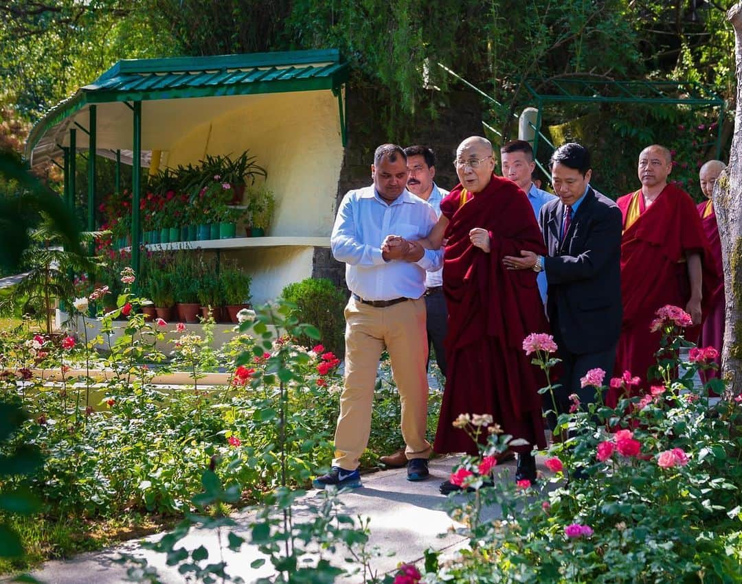 ダライ・ラマ14世さんのインスタグラム写真 - (ダライ・ラマ14世Instagram)「HHDL walking through the garden of his residence on the way to a meeting with a group from Vietnam in Dharamsala, HP, India on May 20, 2019. Photo by Tenzin Choejor #dalailama」5月20日 18時30分 - dalailama