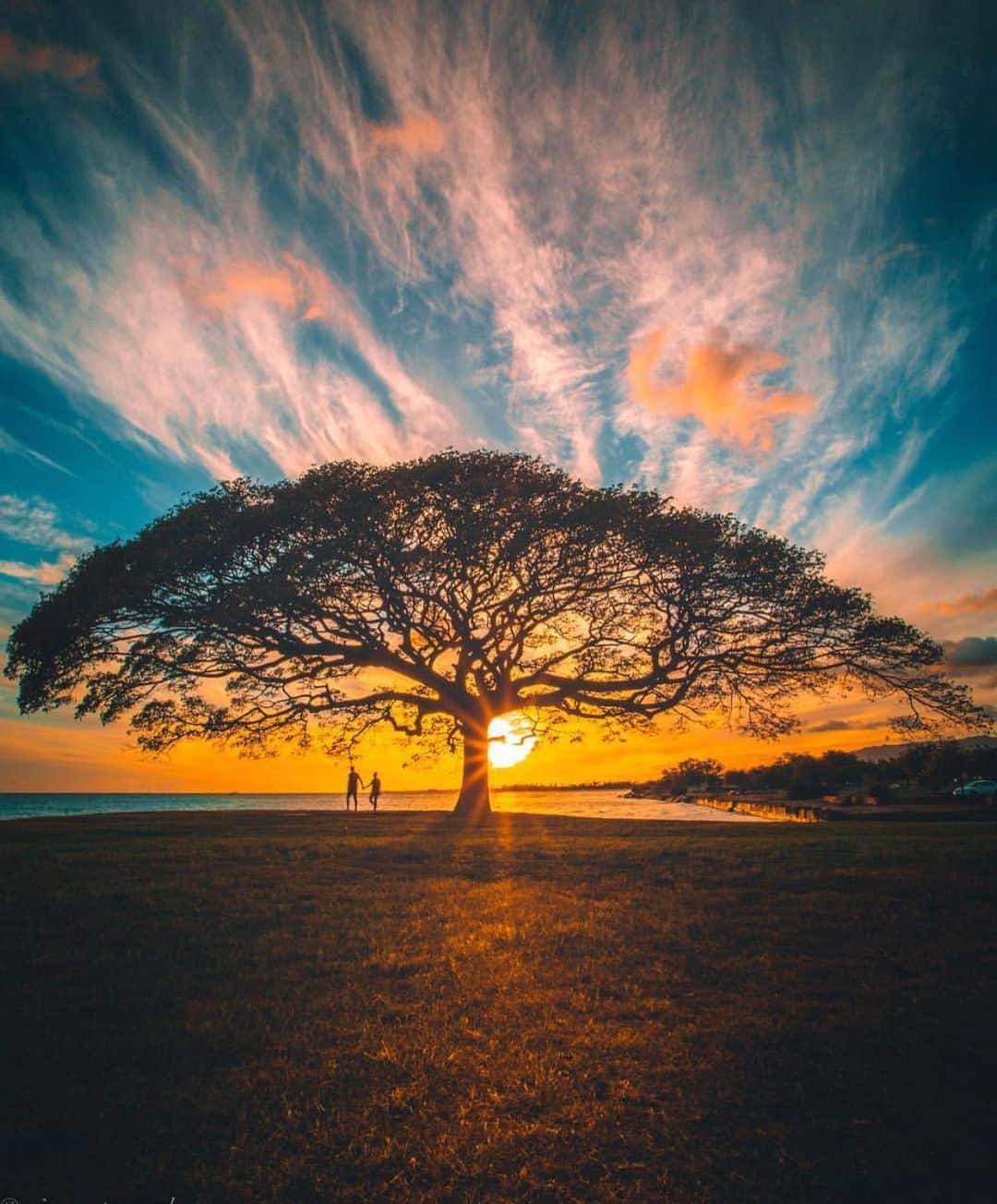 Canon Photographyさんのインスタグラム写真 - (Canon PhotographyInstagram)「Photography | @crisp_artography  Canon 5D Mark III + 17-40mm Selected via our hashtag #cpfeatureme, tag your photos to get featured!  #hawaii #sunset #couple #tree #sky」5月20日 18時54分 - cpcollectives