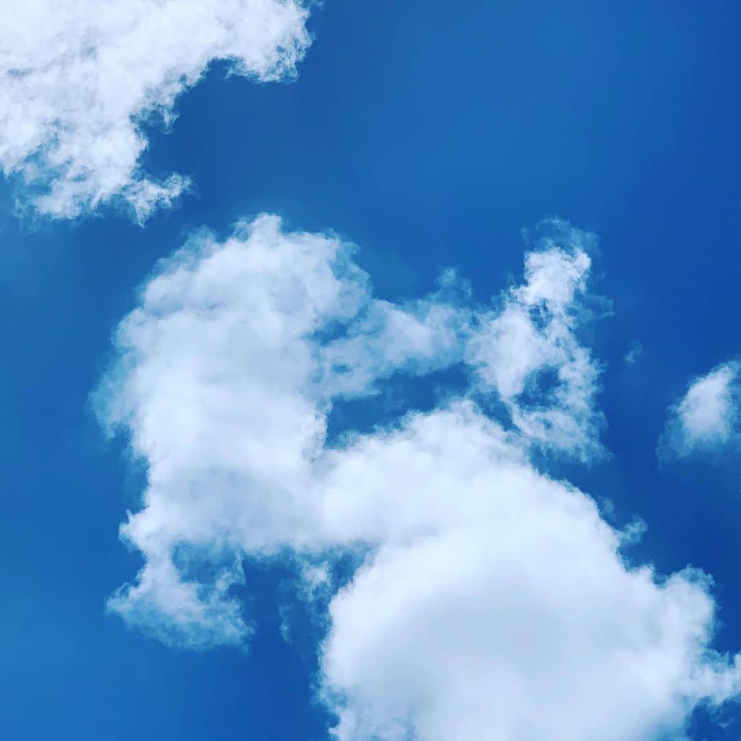 本野沙弥さんのインスタグラム写真 - (本野沙弥Instagram)「好きな空  #sky#blue」5月20日 19時10分 - sayahonno