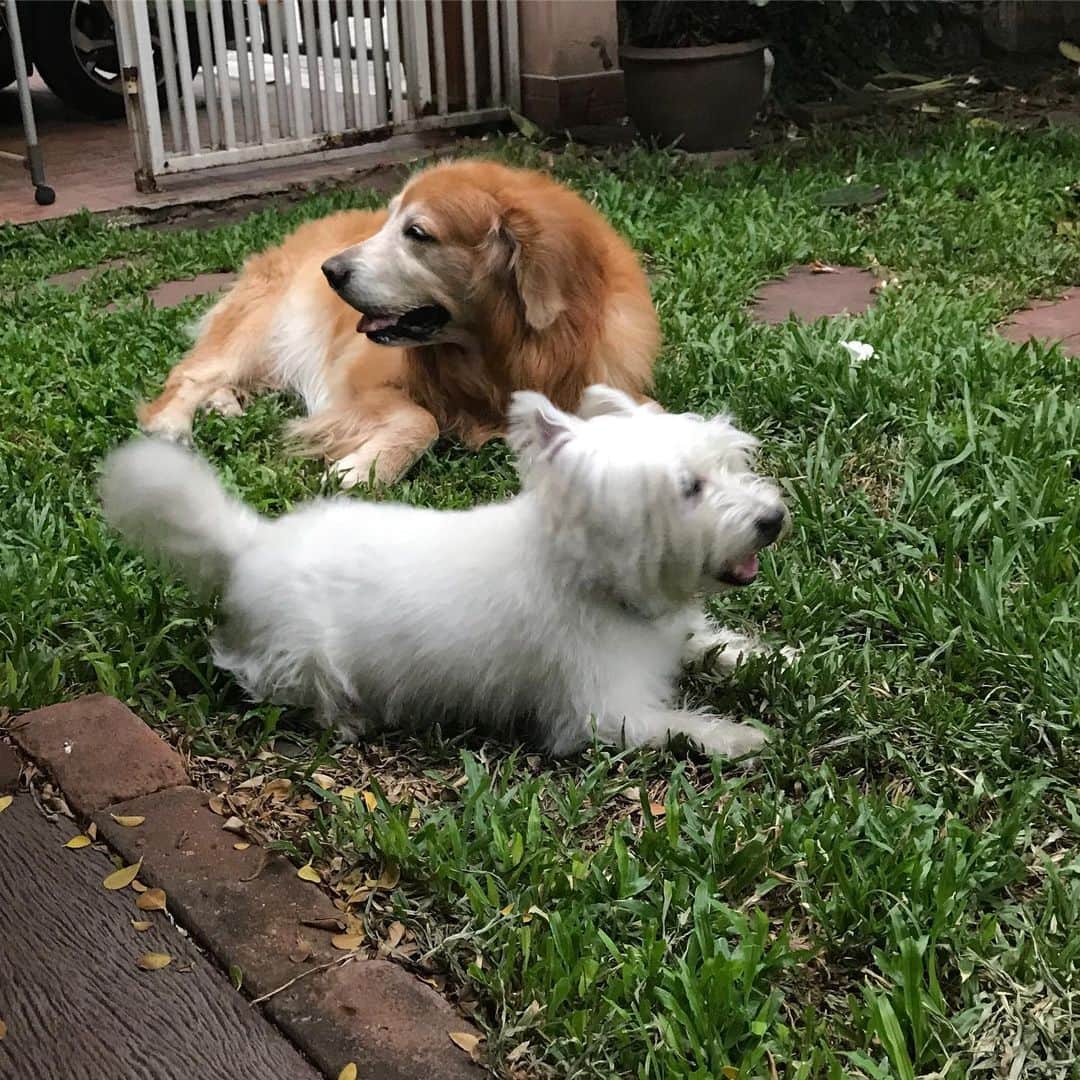 Hoykong&Plamuekのインスタグラム：「Chilling #hkpm」