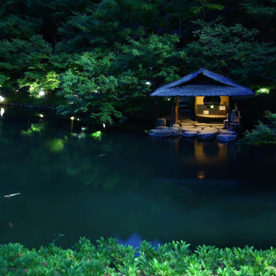 八芳園さんのインスタグラム写真 - (八芳園Instagram)「【夜の庭】  夜には夜の庭の顔があります。 都心とは思えない静けさ、 幻想的な雰囲気。  遠くに出かけなくても 夜の庭を歩けば 短時間でも 気分が変わります。  梅雨が来る前に 夜の庭をお愉しみください。  #八芳園 #日本庭園 #庭園 #日本文化 #文化 #夜 #夜の庭 #池 #水亭 #ライトアップ #イベント #ミーティング #結婚式 #披露宴 #東京 #品川 #高輪 #品川  #happoen #wedding #mice #garden #tokyo #takanawa #shinagawa」5月20日 20時06分 - happoen