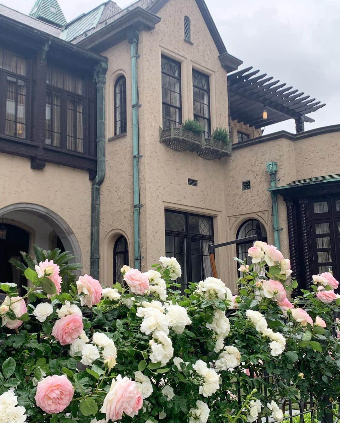 牛窪万里子さんのインスタグラム写真 - (牛窪万里子Instagram)「薔薇が美しい季節。  紀尾井ガーデンテラスにて開催中の『KIOI ROSE WEEK 2019』  クラシックハウスの周りに色とりどりの薔薇が今を盛りに咲いていました。  #薔薇 #バラ  #ローズ  #紀尾井ガーデンテラス #kioiroseweek2019  #赤坂 #紀尾井 #永田町 #akasaka  #rosegarden  #ガーデンストーリー  #バラのフォトコン2019  #ファッション #コーデ #おしゃれさんと繋がりたい  @paolafrani  @tokyo_gardenterrace @gardenstory.jp」5月20日 20時38分 - mariko_ushikubo