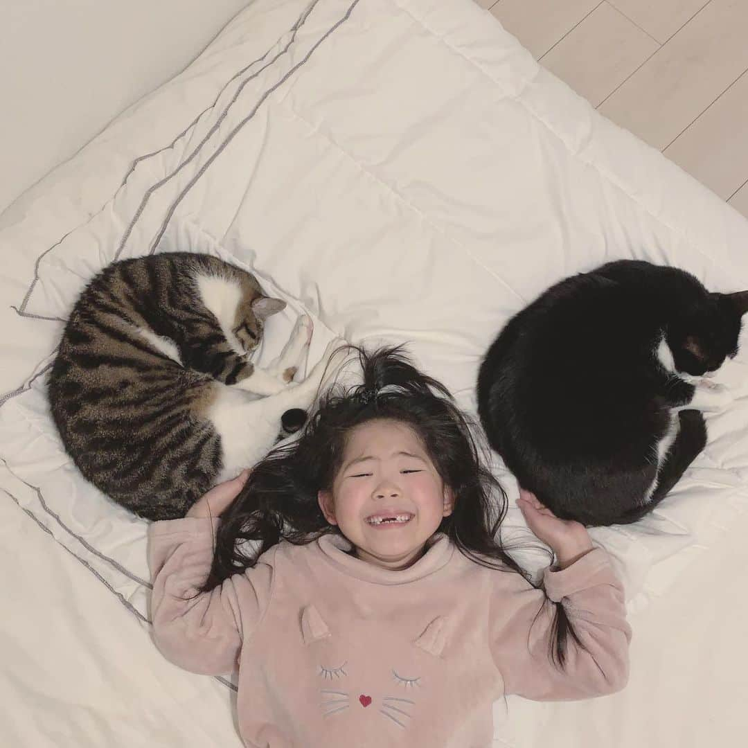 korokoronyaさんのインスタグラム写真 - (korokoronyaInstagram)「❋*∗ 20 May, 2019  Past pic. Brothers🐱👧🏻🐱 * 過去写真🐱👧🏻🐱 帰ってきたら ちびマメいつもの元気さがなく 計ったら6.8℃。ん〜微妙。 寝なさいと促すも、 つまらないから寝ながら Youtube 見たいやら、 ワガママはいっちょ前で 「あぁん？😡元気あるなら 宿題せい！😤」一喝。 でもやはり本調子ではなさそうで グズグズだったので寝かせたらグッスリ。 んでもって起きたらすっかり回復。 #その若さ私にくれ * #まめごまちびまめ」5月20日 21時00分 - korokoronya