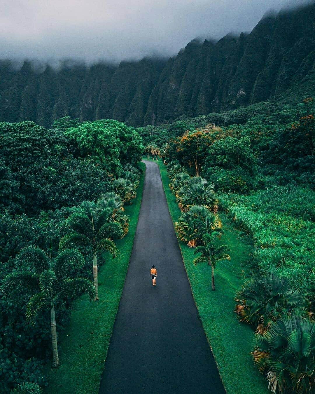 Discover Earthさんのインスタグラム写真 - (Discover EarthInstagram)「Life in Hawaii just looks so sweet ! Which of these incredible photos do you like the most ? 🇺🇸🏝 Tag someone and let them know they have to bring you to Hawaii ! — 📍#DiscoverHawaii — 📸 Photos by @spencerlee808」5月20日 21時08分 - discoverearth