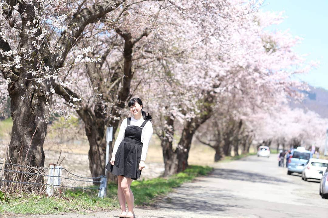 しずかちゃんさんのインスタグラム写真 - (しずかちゃんInstagram)「秋田県湯沢市 GWに桜が満開だった～♪ ・ #しずかちゃん#やさしいライン#girls#温泉モデル#公園#park#model#だらしないからだ#散歩#walk#asianbeauty#womanportrait#japanesesexygirls#日本人#女の子#japan#japanese#おしゃれ#しまらー#桜#サクラ#cherryblossm#夕暮れ#春の陽射し#昼下がり#春#spring#trip#笑顔#smile」5月20日 21時18分 - ch.shizuka