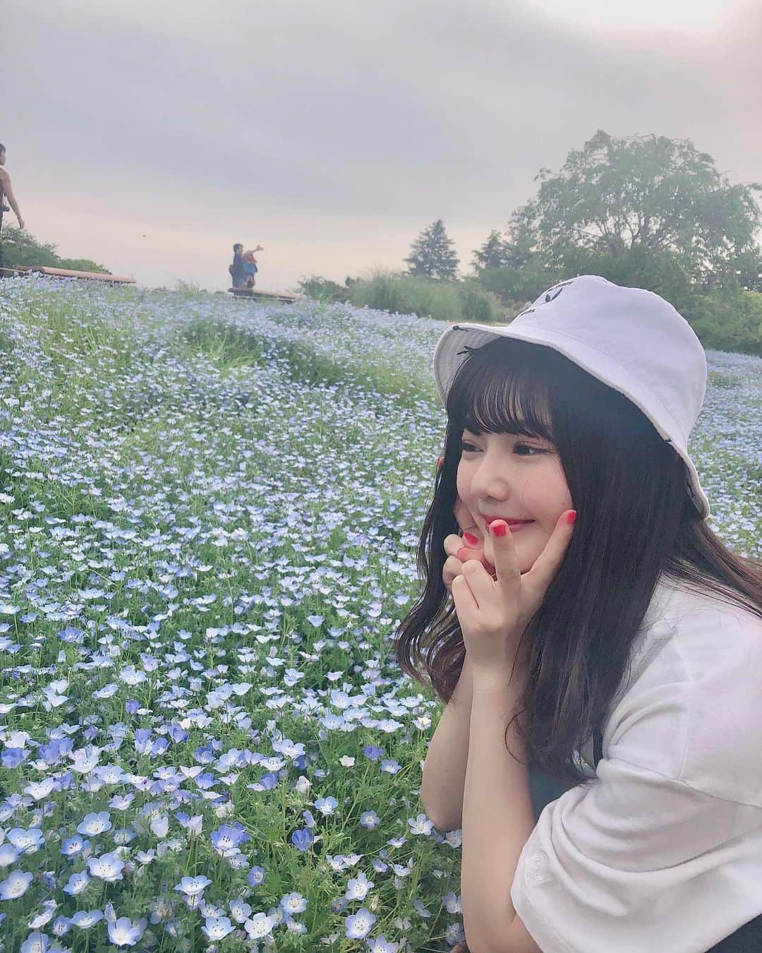 平塚日菜さんのインスタグラム写真 - (平塚日菜Instagram)「ん〜〜きれい  ほんのり、いい香りがしました♪  #flower  #ネモフィラ #昭和記念公園」5月20日 21時12分 - hiratsukahina