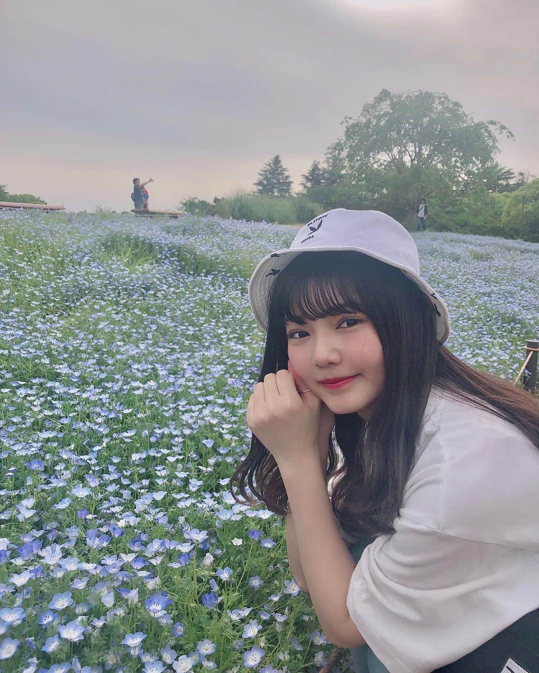 平塚日菜さんのインスタグラム写真 - (平塚日菜Instagram)「ん〜〜きれい  ほんのり、いい香りがしました♪  #flower  #ネモフィラ #昭和記念公園」5月20日 21時12分 - hiratsukahina