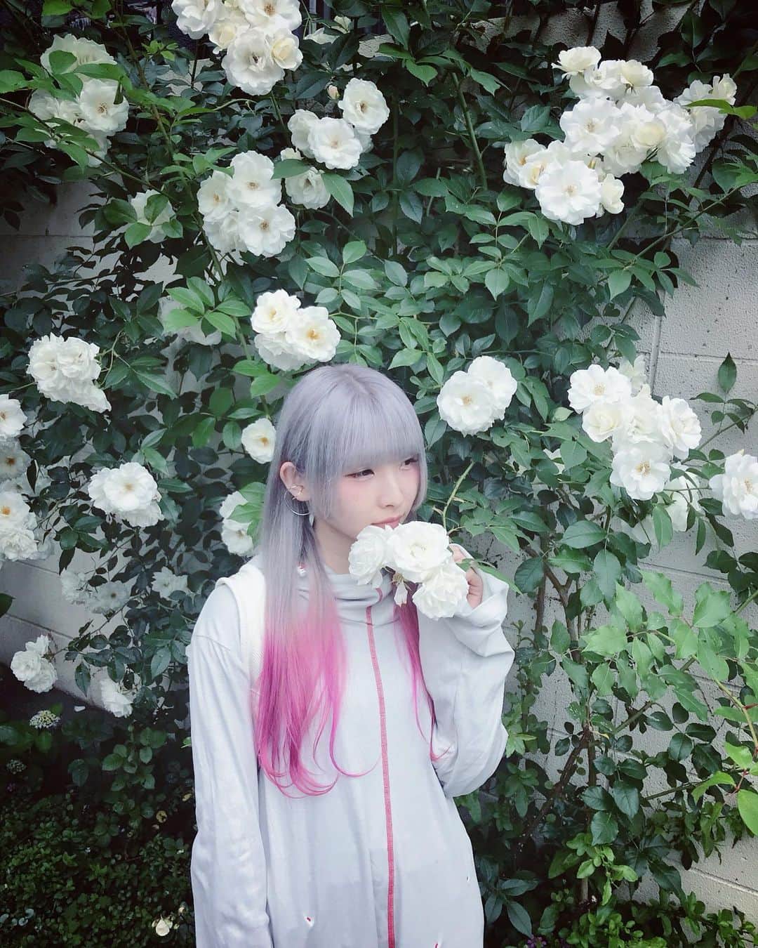ようなぴのインスタグラム