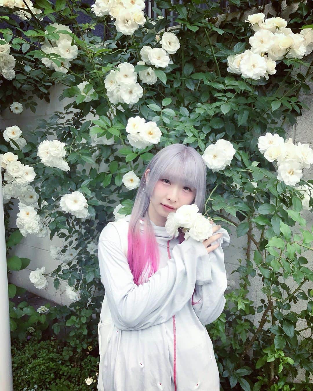 ようなぴのインスタグラム
