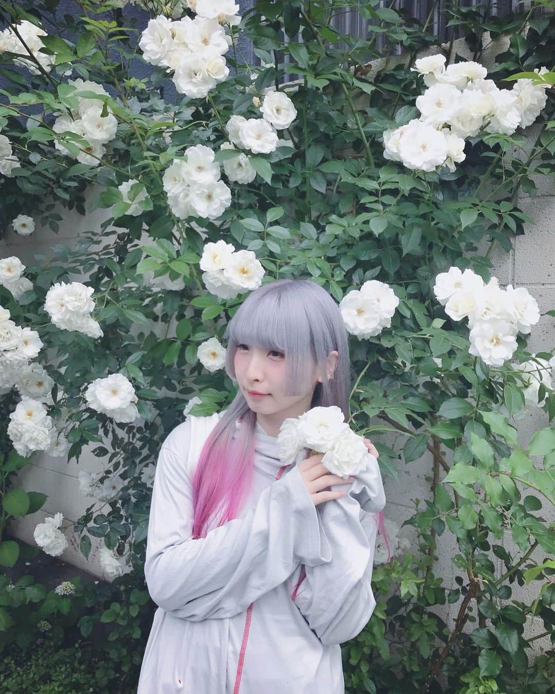 ようなぴのインスタグラム