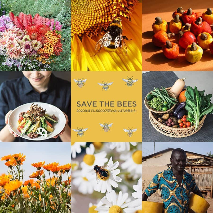 ニールズヤード レメディーズさんのインスタグラム写真 - (ニールズヤード レメディーズInstagram)「【HAPPY WORLD BEE DAY】 . 今日はWORLD BEE DAY（世界みつばちデー）。 . みつばちの問題を、少しでも沢山の人に知ってもらえますように。 そして、少しでもこの問題の解決に繋がりますように。 . ニールズヤードは、これからも、みつばち🐝と豊かな自然のために活動を続けていきます。 . #ニールズヤード #ニールズヤードレメディーズ #nealsyard #nealsyardremedies #アロマ #オーガニック #beelovely #savethebees #worldbeeday #自然保護 #honeybee #earthday #beekeeper #savetheplanet #helpthebees #helpbees #環境 #地球に優しく #養蜂 #農薬 #bees #はちみつ #honey #みつばち #蜂 #キャンペーン #ニールズヤードポリシー #nealsyardpolicy」5月20日 21時35分 - nealsyard_jp