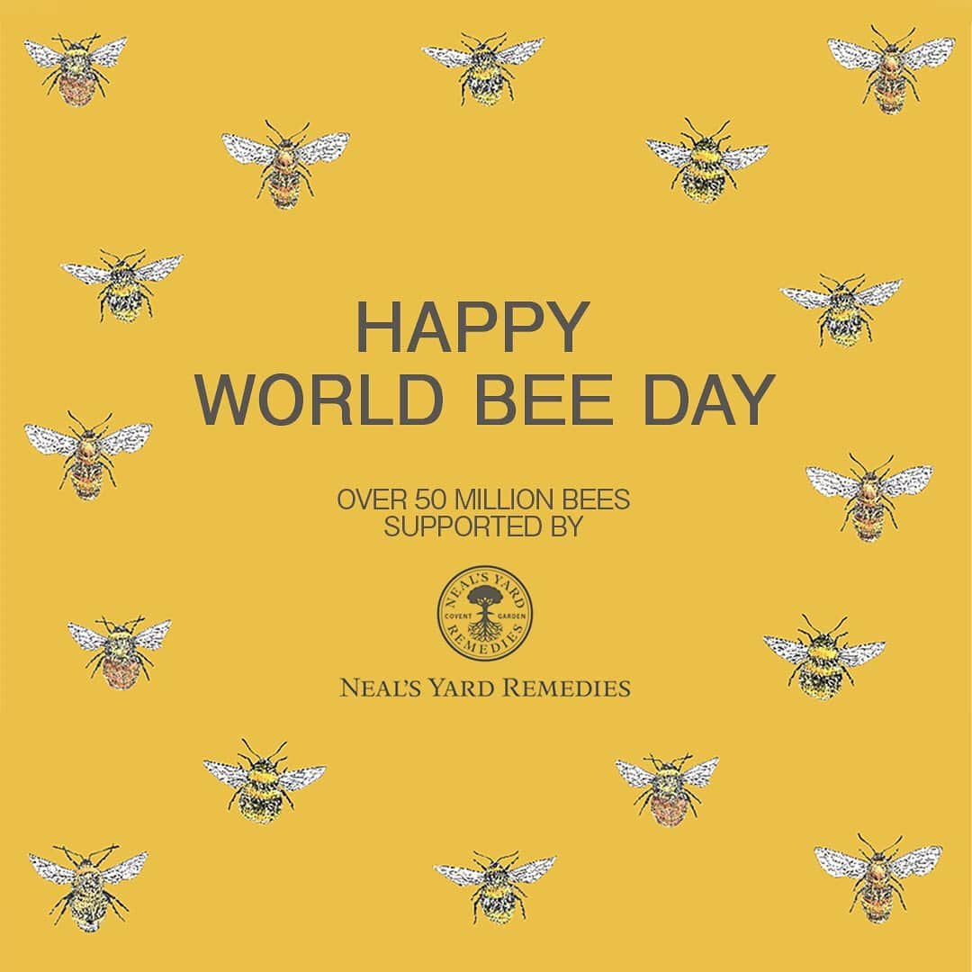 ニールズヤード レメディーズさんのインスタグラム写真 - (ニールズヤード レメディーズInstagram)「【HAPPY WORLD BEE DAY】 . 今日はWORLD BEE DAY（世界みつばちデー）。 . みつばちの問題を、少しでも沢山の人に知ってもらえますように。 そして、少しでもこの問題の解決に繋がりますように。 . ニールズヤードは、これからも、みつばち🐝と豊かな自然のために活動を続けていきます。 . #ニールズヤード #ニールズヤードレメディーズ #nealsyard #nealsyardremedies #アロマ #オーガニック #beelovely #savethebees #worldbeeday #自然保護 #honeybee #earthday #beekeeper #savetheplanet #helpthebees #helpbees #環境 #地球に優しく #養蜂 #農薬 #bees #はちみつ #honey #みつばち #蜂 #キャンペーン #ニールズヤードポリシー #nealsyardpolicy」5月20日 21時35分 - nealsyard_jp