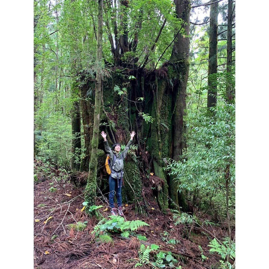 小野りりあんさんのインスタグラム写真 - (小野りりあんInstagram)「大雨の屋久島から無事かえってきたよ🌧🌈🌊﻿ ﻿﻿ 豊かな自然に触れたこの旅では、森、林業、屋久島の歴史など沢山学べたよ🌳🌳🌳﻿ ﻿﻿ あとね、人間の生存には生物多様性が大きく関わっていることを実感、体感もしました。﻿﻿ ﻿﻿ 今は、たくさんの生物がすごい速度で消えている時代。屋久島のような古代から残る自然が居続け多様な生き物が支えあっている場に行けたことをとても貴重に感じました🦀🐒🐍🐸🦎🐟🦑🌲🌳🌱🌿 ﻿ ﻿ さっ、明日からまた都会でがんばろ💪」5月20日 21時28分 - _lillianono_