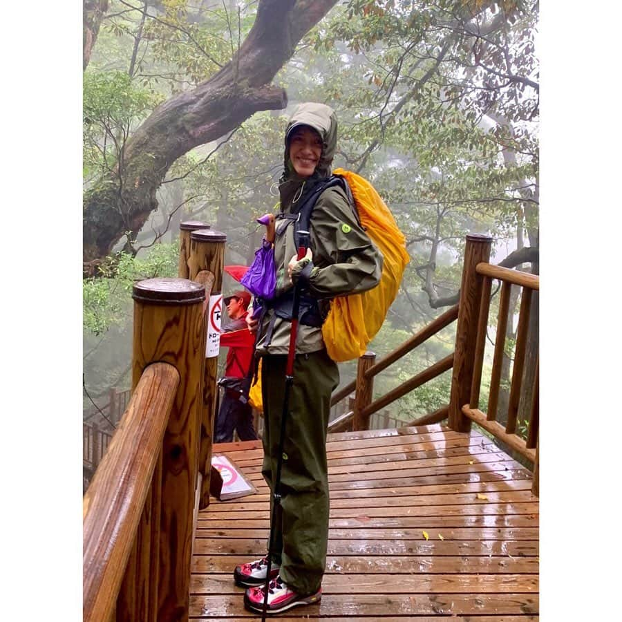 小野りりあんさんのインスタグラム写真 - (小野りりあんInstagram)「大雨の屋久島から無事かえってきたよ🌧🌈🌊﻿ ﻿﻿ 豊かな自然に触れたこの旅では、森、林業、屋久島の歴史など沢山学べたよ🌳🌳🌳﻿ ﻿﻿ あとね、人間の生存には生物多様性が大きく関わっていることを実感、体感もしました。﻿﻿ ﻿﻿ 今は、たくさんの生物がすごい速度で消えている時代。屋久島のような古代から残る自然が居続け多様な生き物が支えあっている場に行けたことをとても貴重に感じました🦀🐒🐍🐸🦎🐟🦑🌲🌳🌱🌿 ﻿ ﻿ さっ、明日からまた都会でがんばろ💪」5月20日 21時28分 - _lillianono_