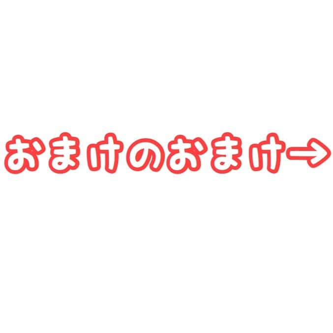 セロリさんのインスタグラム写真 - (セロリInstagram)「【家族と過ごす時間】 今の僕にとってすごく大事なもの。 「時間」 何ものにも代え難い。 #maltese #マルチーズ #うさぎ #rabbit #おまけは奥さんが買ったお菓子 #ぐでたま #しっとり玉子クッキー #関係ないけど昨日サプライズ失敗確定した #奥さん驚かそうと思ったのになぁ #malteseofinstagram #maltese101 #malteser #malteseofficial #maltesedog #dog #instadog #dogstagram #dogoftheday #doglovers #instapet #adorable #ilovemydog  #ペット #わんこ #ふわもこ部 #犬のいる暮らし #いぬら部  #いぬすたぐらむ」5月21日 8時30分 - celeryrabbit