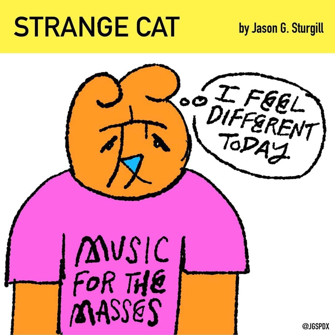 Jason G. Sturgillさんのインスタグラム写真 - (Jason G. SturgillInstagram)「Change happens. 50/100 #kanjicat #strangecat #変な猫 #the100dayproject」5月21日 8時27分 - jgspdx