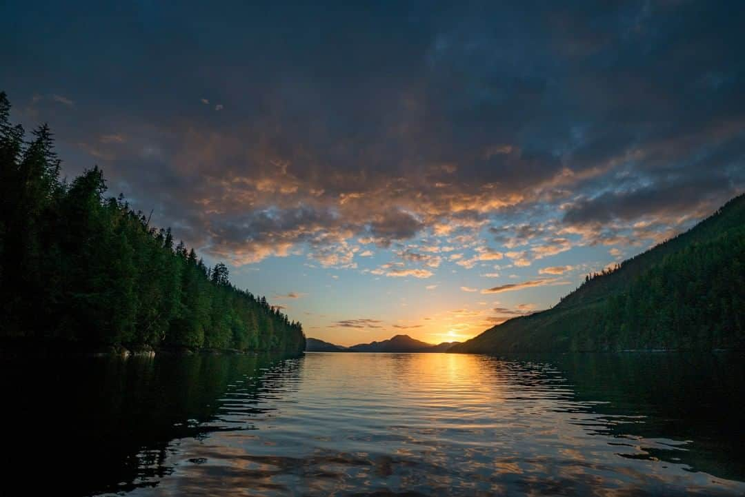 National Geographic Travelさんのインスタグラム写真 - (National Geographic TravelInstagram)「Photo by @CristinaMittermeier | The sun began to set and paint reflections of beautiful patterns on the calm waves rolling into the small inlet. After a day of diving and exploring off the coast of British Columbia, I had a whole new perspective on the landscape above water. The area is booming with aquatic life and to have the beautiful and colorful world hiding just below the surface revealed to me was incredible. You never really know what's going on below the thin blue line until you go there and experience it. To have such a spectacular dive site so close to home is something I will always be grateful for. Follow me @CristinaMittermeier for more photos from British Columbia. #landscape #sunset #Canada #ocean」5月21日 7時15分 - natgeotravel