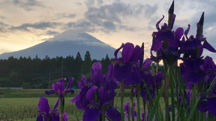 phantastic420のインスタグラム：「. 🤩🤩“Shizuoka” prefecture in Japan is a place where you can see the most “phantastic” Mt. Fuji🗻 in the world.🤩 #富士山 #mtfuji #japan #shizuoka #fujinomiya  #phantastic420photography #mostphantasticmtfuji #selamatpagi  #goodmorning  #おはようございます 😇😇😇😇😇😇😇🗻😇😇 今朝は大雨☔️です」