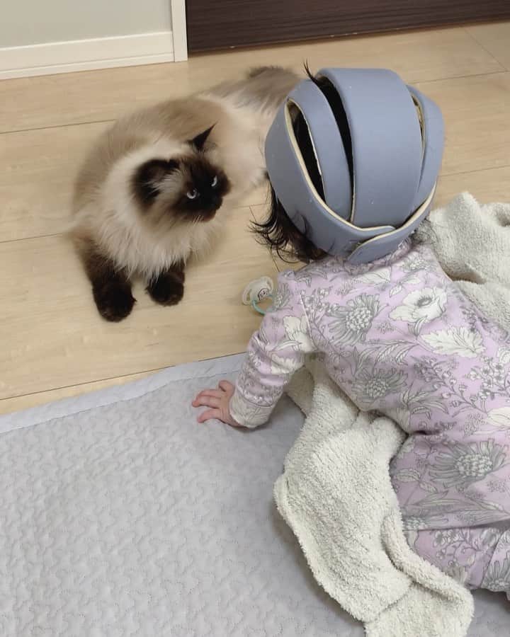 plumeのインスタグラム