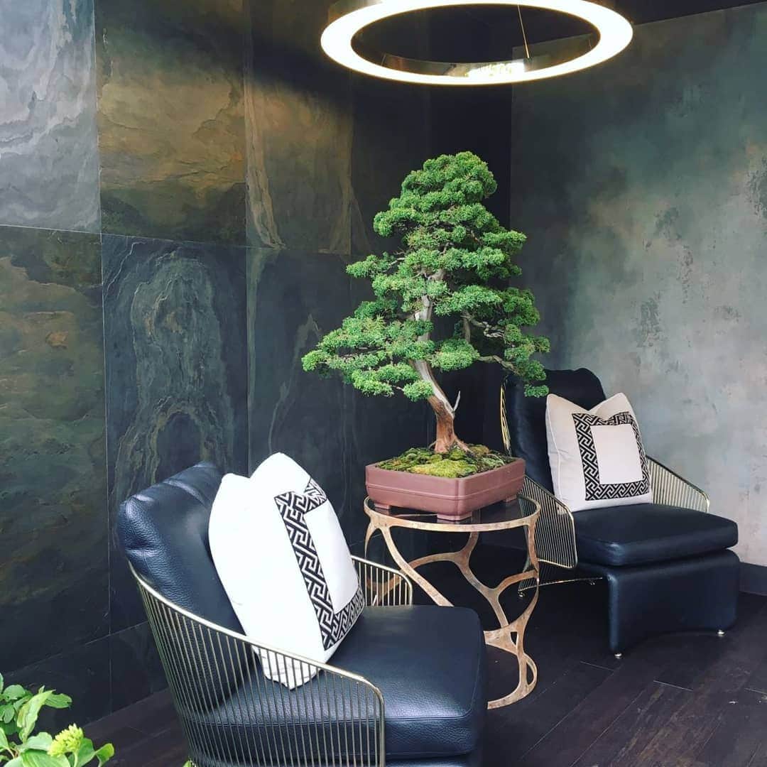 Minotti Londonさんのインスタグラム写真 - (Minotti LondonInstagram)「🌺CHELSEA FLOWER SHOW🌺We are honoured to showcase these preview shots of The @morgan.stanley Garden by @chrisbeardshawdesign at the @rhs_chelseaflowershow 2019.  We were asked for the second year running to collaborate with Lucy Clark of @studio_clark_and_co who helped style and designed interior elements of the garden in two structural pods which feature the Minotti Colette armchair, berger chair and Aston cord dining chairs.  #chelsea #chelseaflowershow #beautiful #architecture #flowers #garden #gardendesign #minotti #minottilondon #furnituredesign #furniture #designinspiration」5月20日 23時32分 - minottilondon