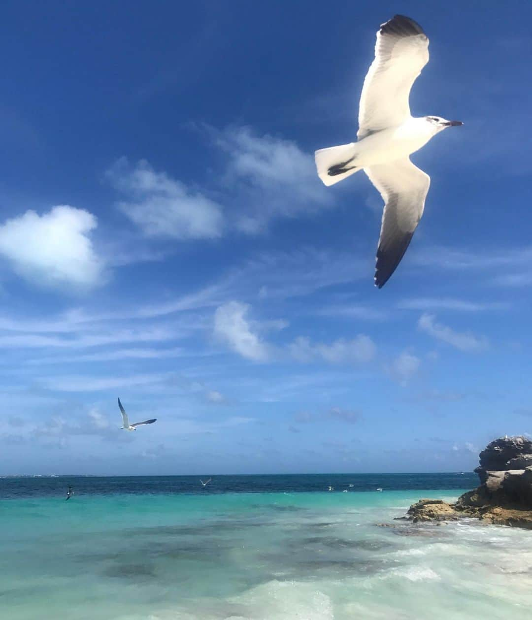 アンナ・ヤノフスカヤさんのインスタグラム写真 - (アンナ・ヤノフスカヤInstagram)「☀️🌴 The world is too big to stay in one place...👣 #mexico #caribbean #playadelcarmen #aroundtheworld 🌏」5月20日 23時57分 - annayanovskay