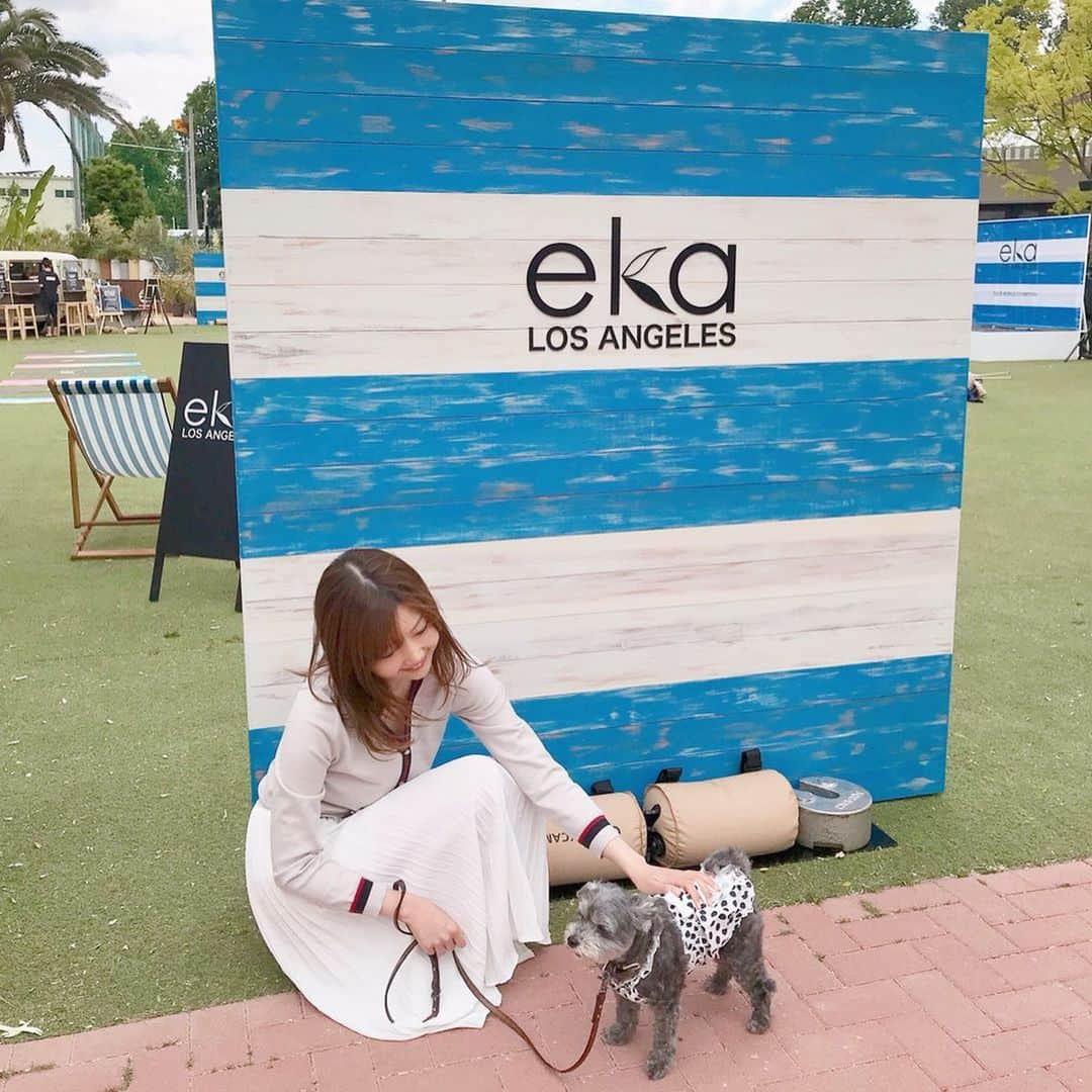 橘珠里さんのインスタグラム写真 - (橘珠里Instagram)「LA発のヨガブランドeka Losangeles ( @ekalosangelesjapan )さんの ~2019 WORLD EXHIBITION~にご招待いただき、参加してきました🐶🎶 ⠀ ⠀ #エーカ さんのアイテムはいつも愛用していますが、新作のヨガウェア、バック、マットなど…もどれも可愛くて、また欲しいものが増えてしまいました♡ ⠀ ⠀ 写真4枚目以降は➡︎ 展示会会場のアイテムを写真と動画で紹介しています🧘🏻‍♀️✨ ⠀ ⠀ シマウマ柄🦓のウェアが個人的に1番可愛かったです!✨ *----*----*----*----*----* #eka #ekalosangeles #PR #ekalosangelesjapan  #yoga #yogawear #yogagirl #yogalife #losangeles #japan #tokyo  #yogini #sharegreenminamiaoyama #sharegreen #ヨガ #ヨガウェア #ヨガウエア #ヨーガ #ヨガブランド #展示会レポート #ヨガバッグ #ヨガマット #ヨガジョ #エクササイズ #シェアグリーンミナミアオヤマ  #シェアグリーン南青山 #シマウマ柄 #パークヨガ #外ヨガ」5月20日 23時57分 - jurinu