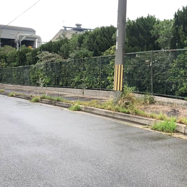 団長安田のグルメインスタ