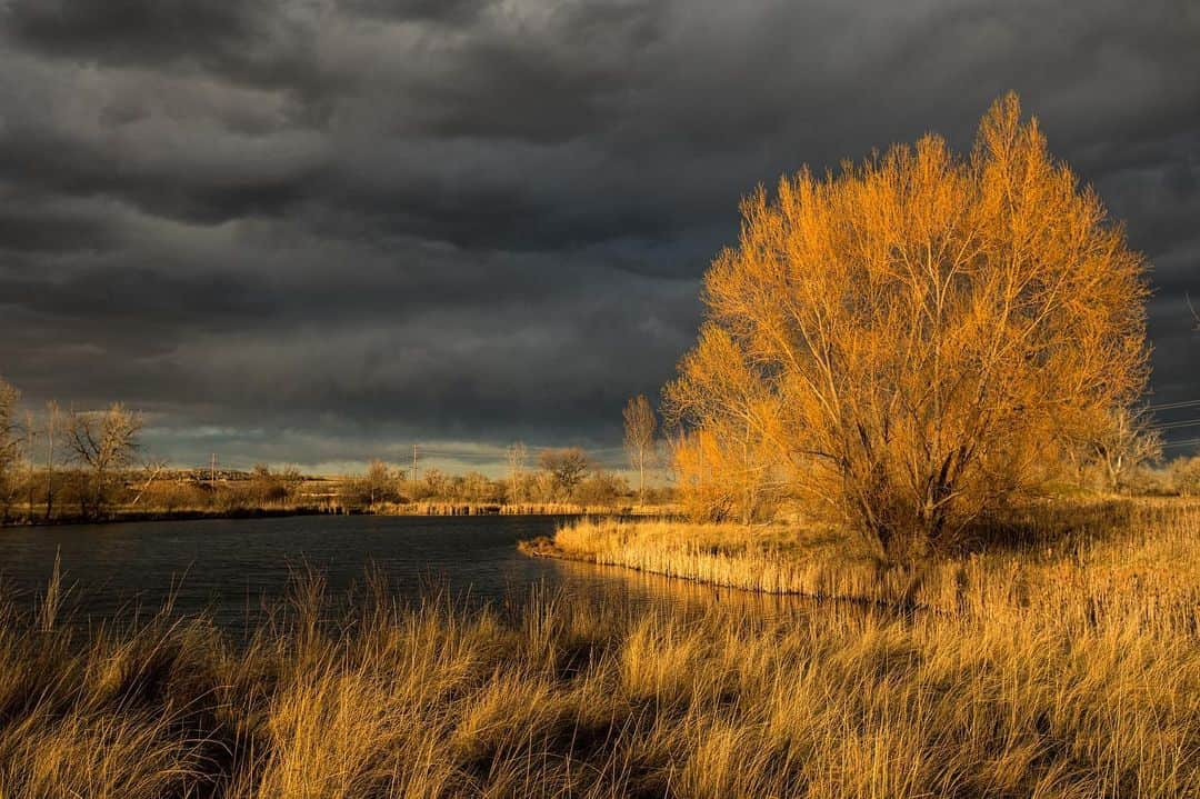 アンジー・ペインさんのインスタグラム写真 - (アンジー・ペインInstagram)「Close to home. Some of my favorite spots to shoot photos are just a few miles from my doorstep, and as a result I have hundreds of pictures from here in Boulder, CO that have never seen the light of day. So, how about another collection to start the week? • • • • • #boulderco @boulderosmp」5月21日 0時35分 - angelajpayne