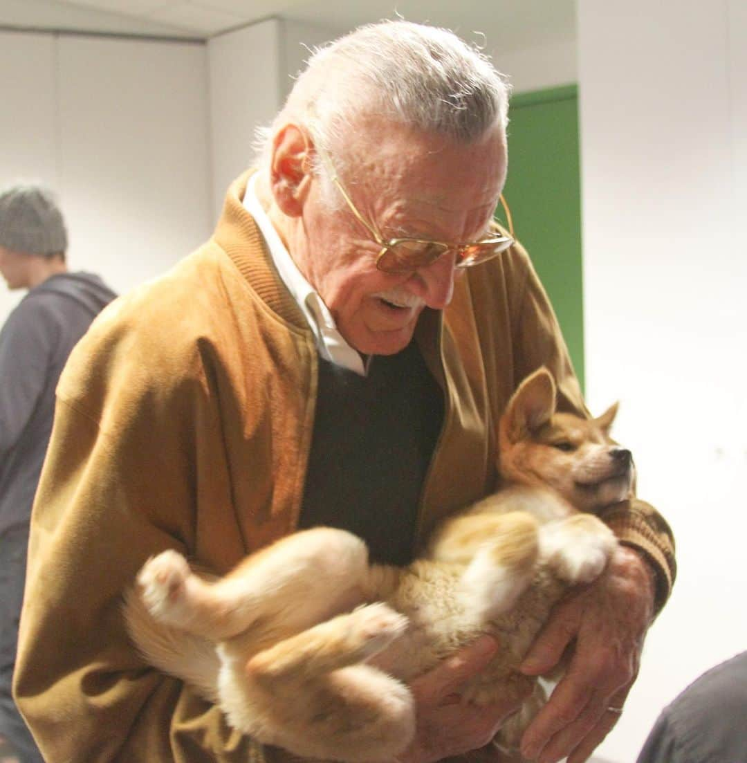 スタン・リーさんのインスタグラム写真 - (スタン・リーInstagram)「Monday got you down? Here's an adorable photo of Stan cradling a dingo when he visited Australia a few years back for your #MondayMorning enjoyment.」5月21日 1時19分 - therealstanlee