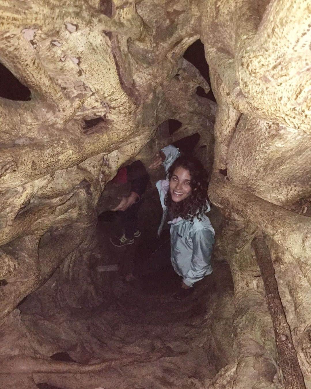ポーリーヌ・オアロのインスタグラム：「I’d live inside that ficus tree 🐒 #tb」