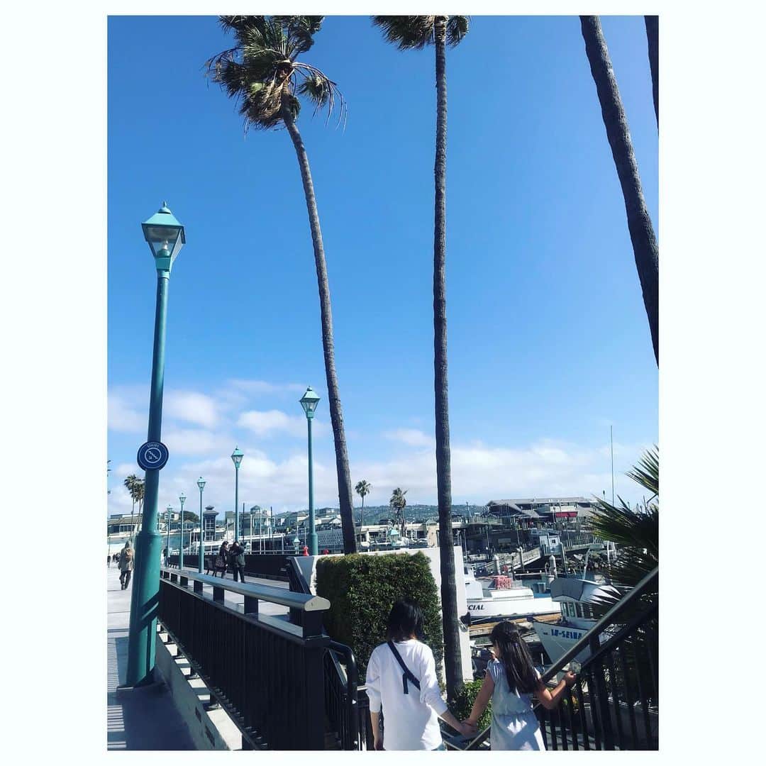 のインスタグラム：「モリリンとマカさん 🌴 #sunday」