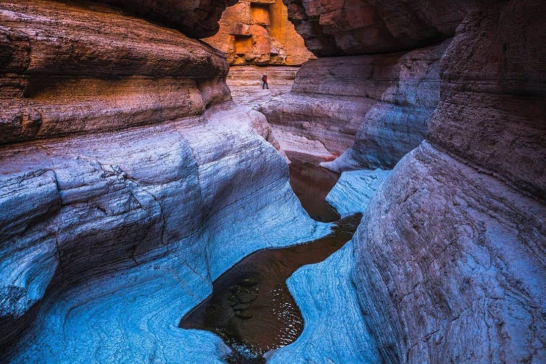 National Geographic Creativeさんのインスタグラム写真 - (National Geographic CreativeInstagram)「Photo by @pedromcbride | Formed by water rushing over rocks, Olo Canyon is concealed inside the Grand Canyon. Its alluring landscape includes natural springs and rocks shaped like cathedral amphitheaters. #OloCanyon #GrandCanyon #Arizona」5月21日 4時02分 - natgeointhefield