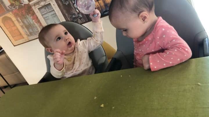 シェイラ・カストロのインスタグラム：「Liz estava toda toda com o copinho de água, tentando levar na boca e vem a irmãzinha Ninna bem delicada e toma da mão dela!! Ainda bem que a Liz nem liga! E o nervosismo da Ninna depois pq não conseguiu pôr o copo na boca! 🙄🥰 #albumdalizeninna #minhaspequenas #amoresdaminhavida」