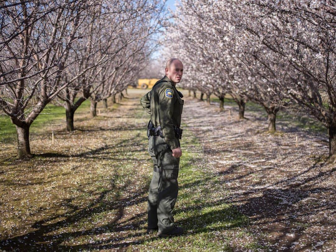 ナショナルジオグラフィックさんのインスタグラム写真 - (ナショナルジオグラフィックInstagram)「Photos by Lucas Foglia @lucasfogliaphoto | Recently beekeepers have been hit hard by thefts of hives. Accused of stealing hundreds of beehives throughout the Central Valley over several years, Pavel Tveretinov and an alleged accomplice, Vitaliy Yeroshenko, were arrested in 2017. Their preliminary trials are scheduled for this summer. Officer Rowdy Jay Freeman, a member of California's Rural Crime Prevention Task Force, serves as a liaison between commercial beekeepers and regional law enforcement.」5月21日 6時47分 - natgeo