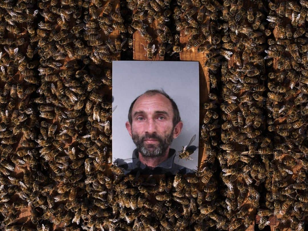 ナショナルジオグラフィックさんのインスタグラム写真 - (ナショナルジオグラフィックInstagram)「Photos by Lucas Foglia @lucasfogliaphoto | Recently beekeepers have been hit hard by thefts of hives. Accused of stealing hundreds of beehives throughout the Central Valley over several years, Pavel Tveretinov and an alleged accomplice, Vitaliy Yeroshenko, were arrested in 2017. Their preliminary trials are scheduled for this summer. Officer Rowdy Jay Freeman, a member of California's Rural Crime Prevention Task Force, serves as a liaison between commercial beekeepers and regional law enforcement.」5月21日 6時47分 - natgeo