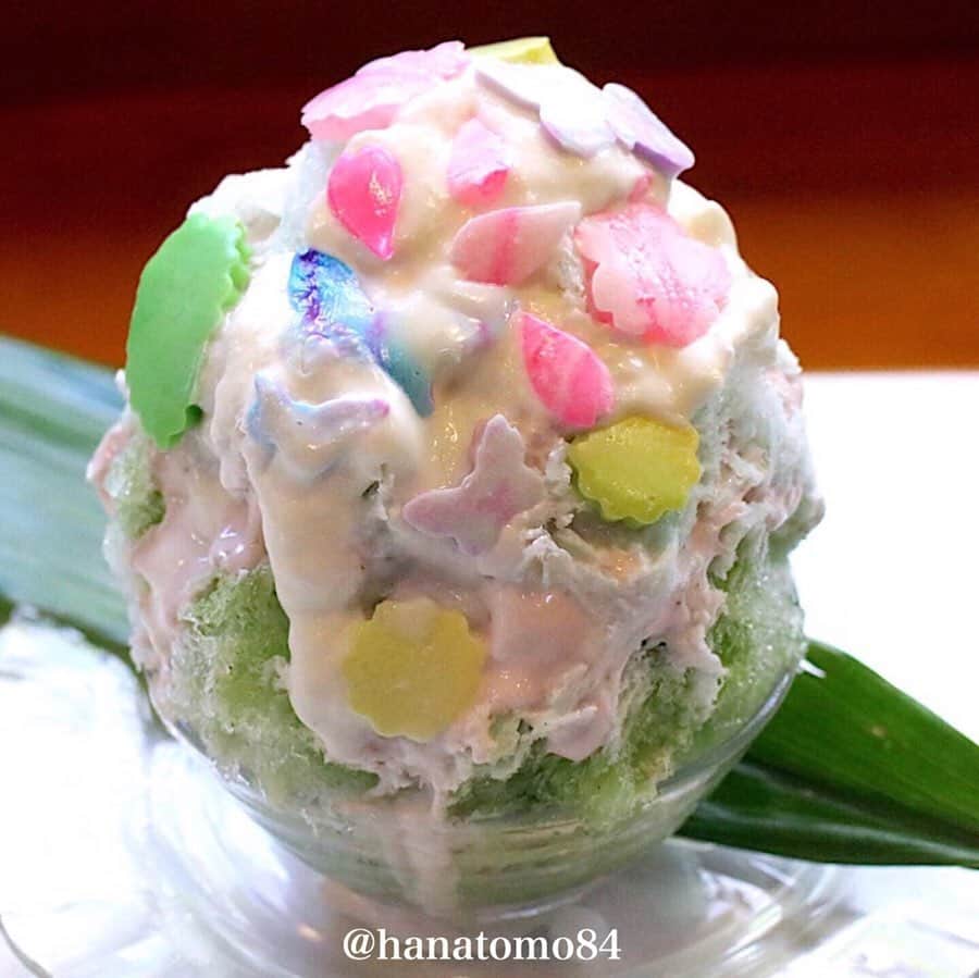 はなとものグルメインスタ