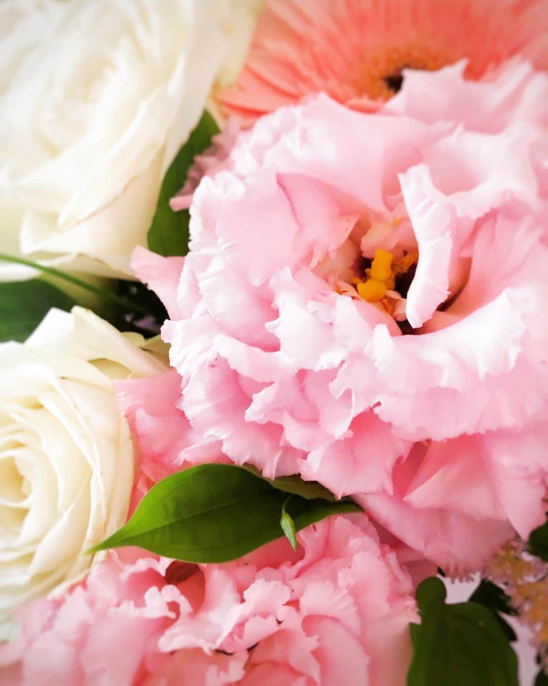 新倉瞳さんのインスタグラム写真 - (新倉瞳Instagram)「Birthday bouquet💐  予想しないときにお花を頂くことって、とっても嬉しい。  #birthdaybouquet #flower」5月21日 17時49分 - hitominiikura