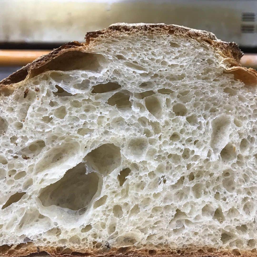 魔女菅原のグルメインスタ