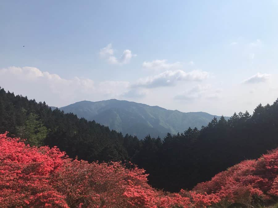 岩崎裕美さんのインスタグラム写真 - (岩崎裕美Instagram)「. 📍#葛城高原 ／大阪・奈良 . 今回は山頂の葛城高原のツツジが目的だったんだけど 行く前に調べたら五分咲きと書いてあって。 . まだ早いかなぁと思いつつも、 急遽撮影なくなったこの日しかチャンスなくて 行ってみたら… . いやいや。 . めちゃめちゃ咲いてますやん☺️ . ベストタイミングやん☺️ . 青空とツツジの赤と奥に佇む金剛山の緑のコラボレーションが美しかったー！😩 . あの景色と空気は忘れない。 ＿＿＿＿＿＿＿＿＿＿＿＿＿＿＿＿＿＿＿＿＿＿＿＿＿ #大阪 #奈良 #登山 #登山女子 #山登り #山 #大阪 #奈良 #森林浴 #新緑 #大和葛城山 #トレッキング #ハイキング #climbing #osaka #nara #green #forest #healing #hiking #trekking」5月21日 16時34分 - hiromi_iwasaki