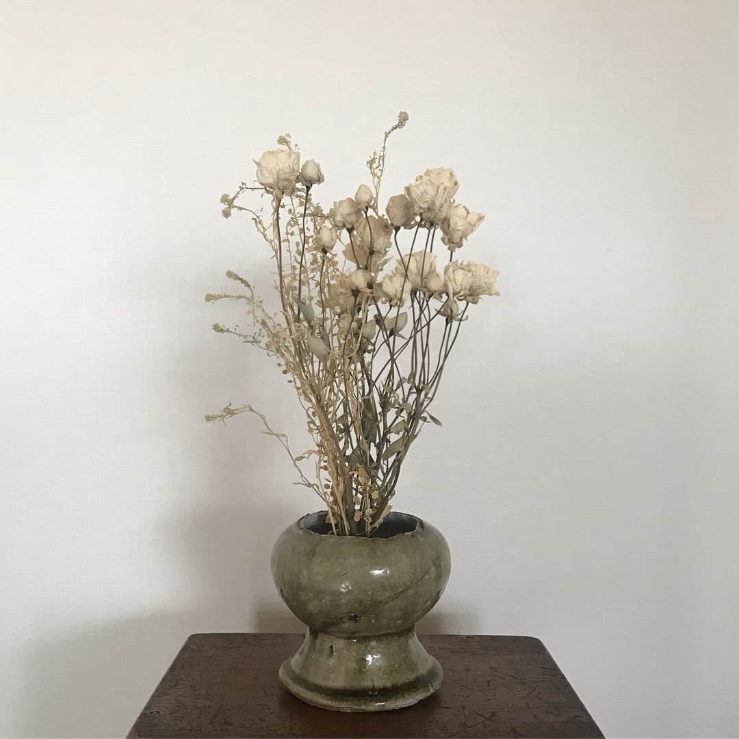 長谷川踏太のインスタグラム：「原形のイメージで、破損してる部分を植物で補完。 古瀬戸系施釉花瓶 #古瀬戸」